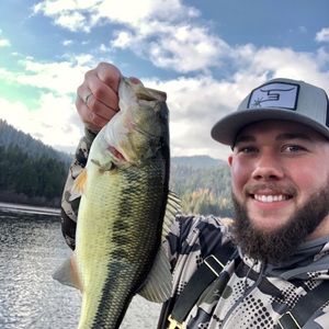 Meet your Posher, Levi